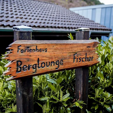 Berglounge Fischer وينتربرغ